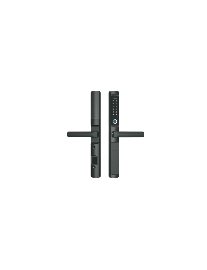 Cerradura Inteligente / ZigBee / IP65 / 5 Métodos de Acceso / 100 Huel