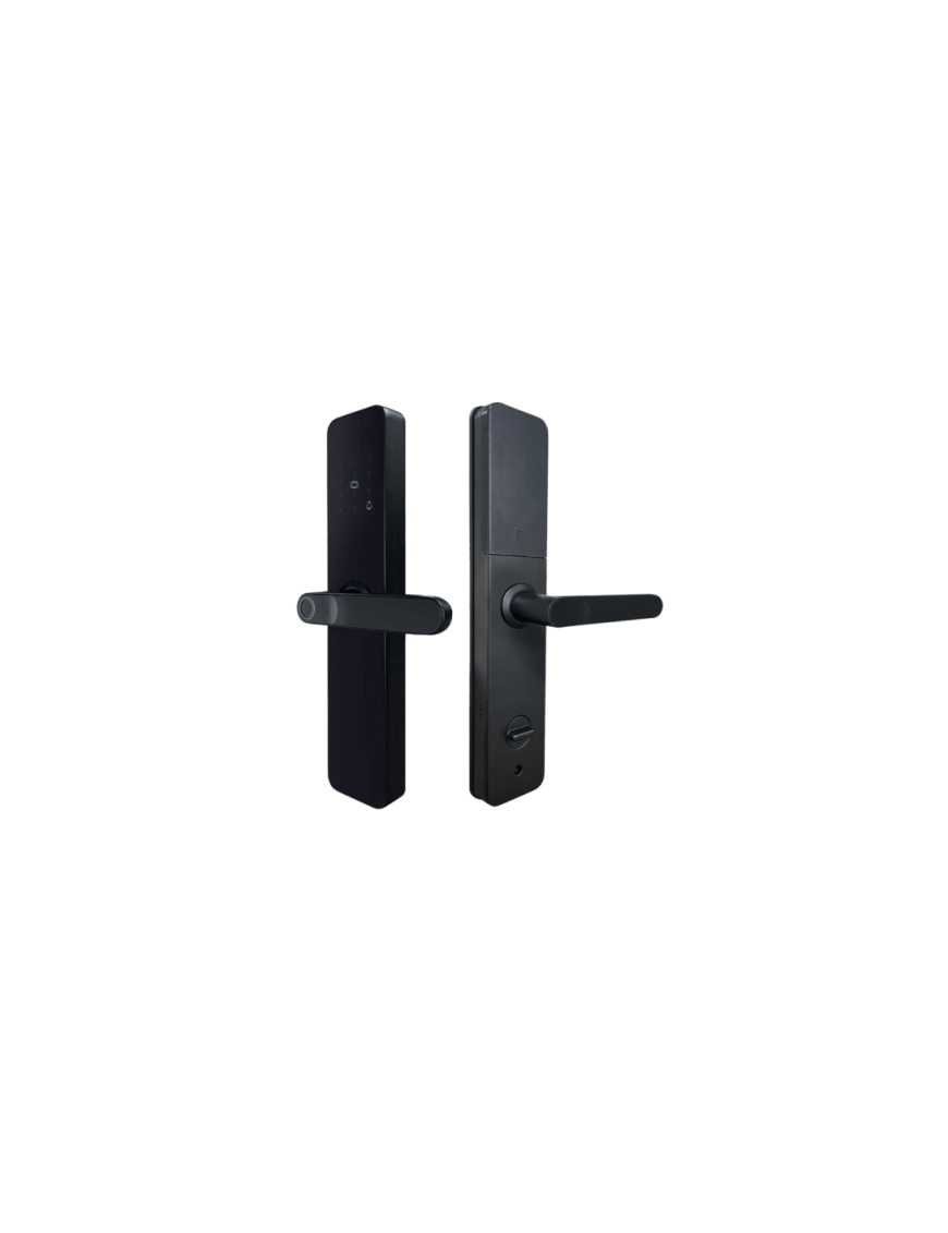 Cerradura inteligente / ZigBee 3.0 / IP52 / 4 métodos desbloqueo / 4 p