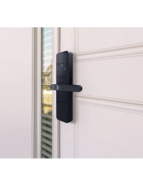 Cerradura inteligente / ZigBee 3.0 / IP52 / 4 métodos desbloqueo / 4 p
